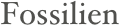 Fossilien